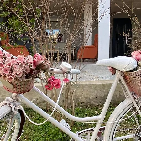 Kuzey'in Evi Kızilbahçe
